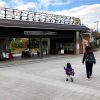 動物をじっくり見るならナイトZOOより昼間がオススメ〜天王寺動物園〜