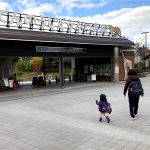 動物をじっくり見るならナイトZOOより昼間がオススメ〜天王寺動物園〜